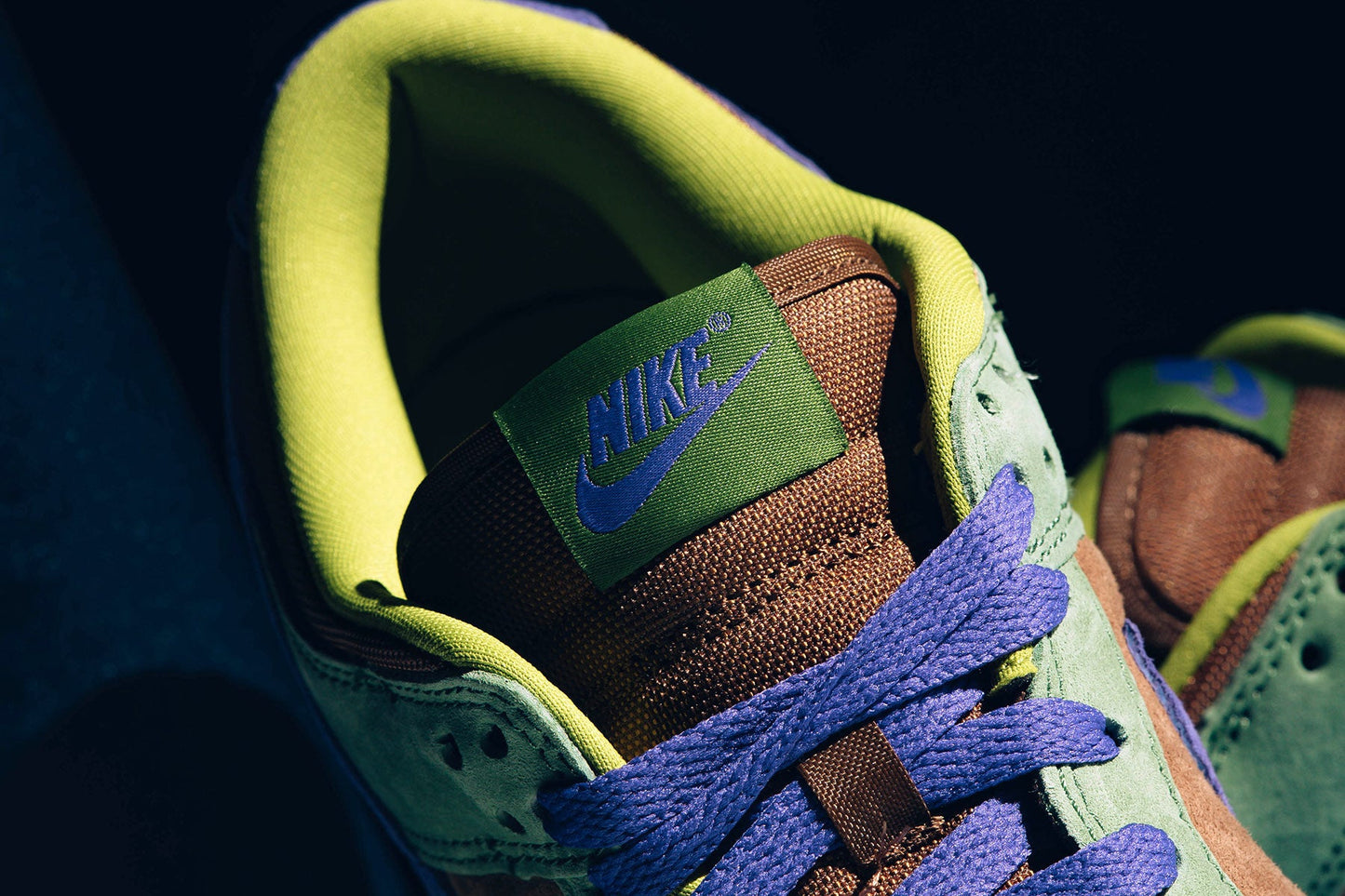 Dunk Low SP 'Veneer' - Deep Purple/Autumn Green