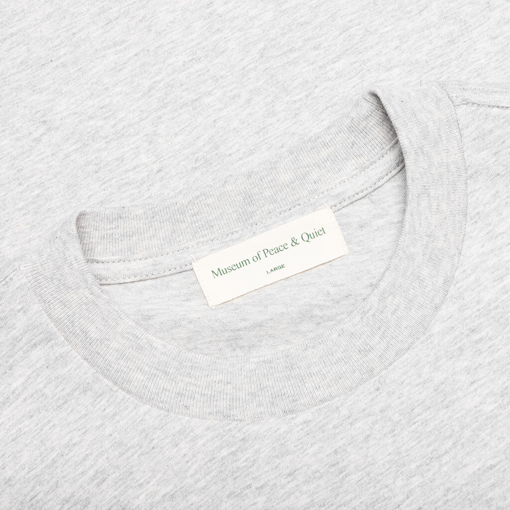 Akashic Records T-Shirt - Ash