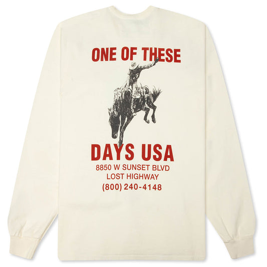 Break On Through Long Sleeve T-Shirt - Bone