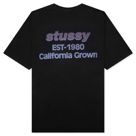 California Grown Pigment Dyed Tee - Black
