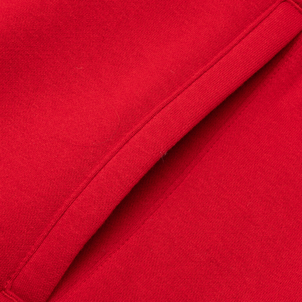 Jumpman Air Jordan Fleece Shorts v2 - Gym Red/Black