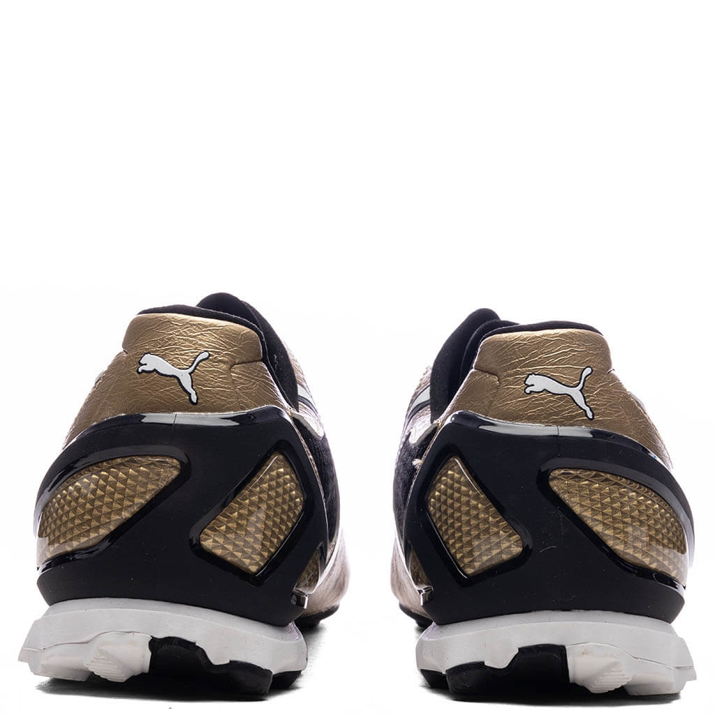 V-S1 Metallic - Gold/Black