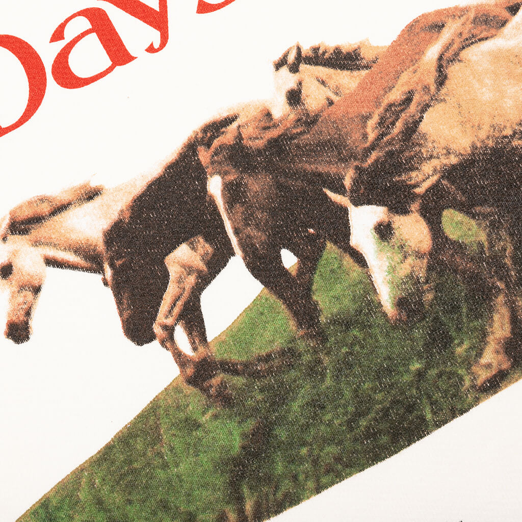 Wild Horses Crewneck - Bone