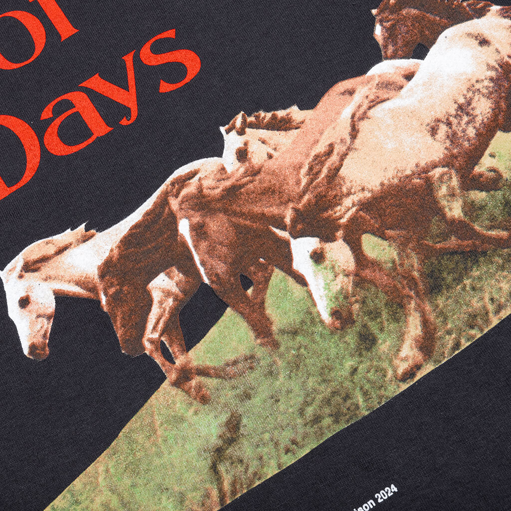 Wild Horses Short Sleeve T-Shirt - Washed Black