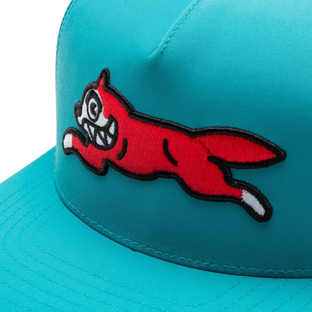 Ladd Snapback Hat - Teal