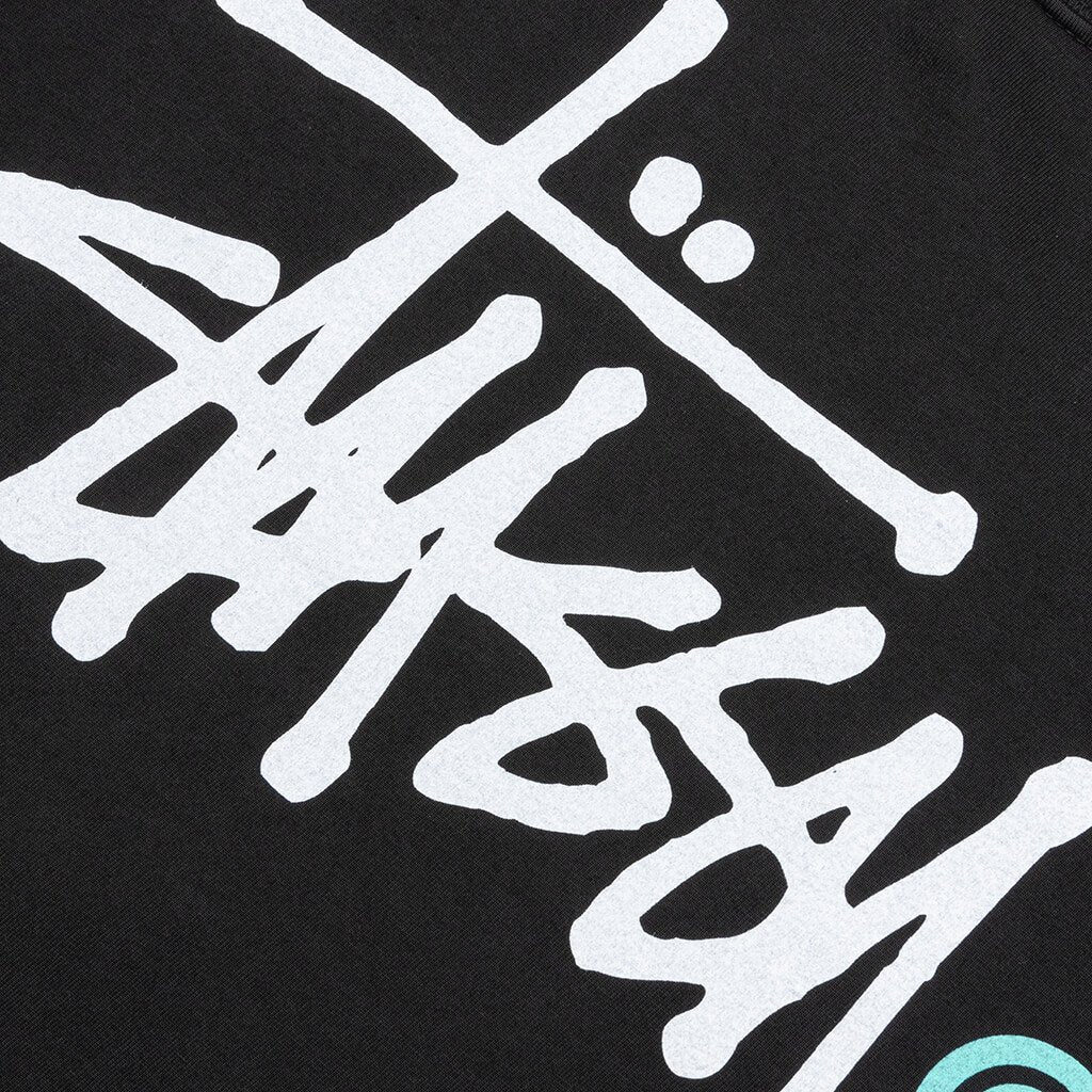 Basic Logo Pigment Dyed Tee - Black