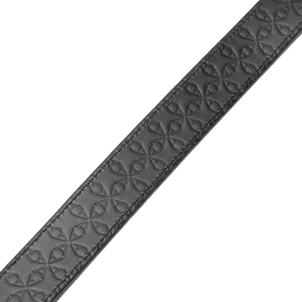 1017 9SM Large Dog Collar and Leash - Black