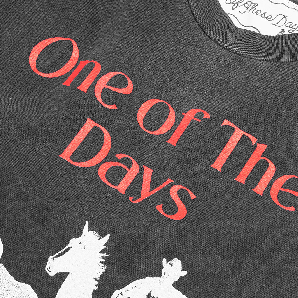 Across the Plains T-Shirt - Sun Faded Black