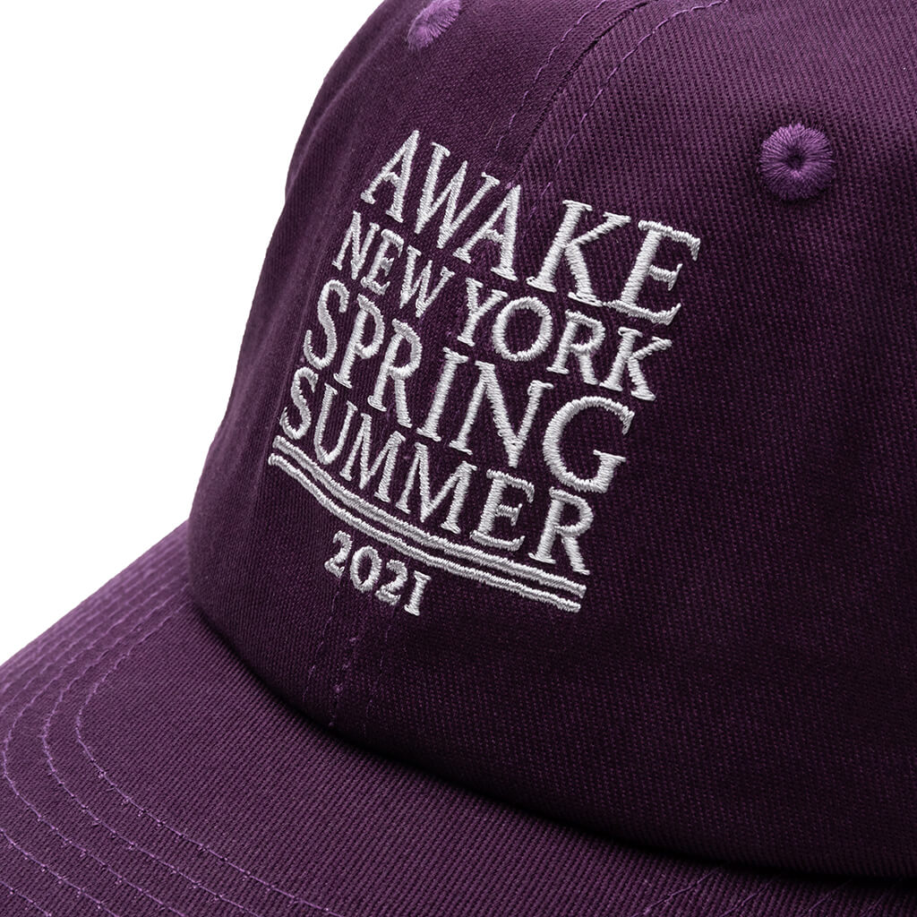 6 Panel Hat - Purple
