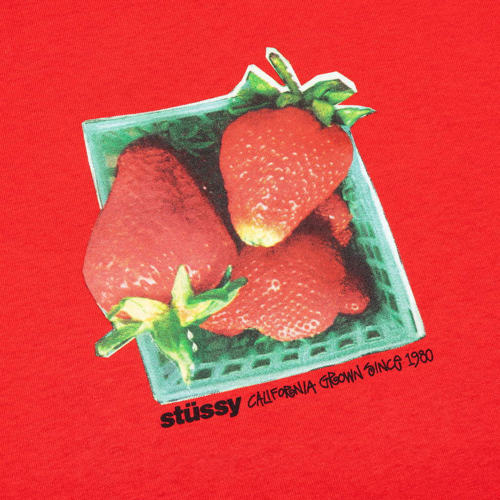 Berries Tee - Cayenne