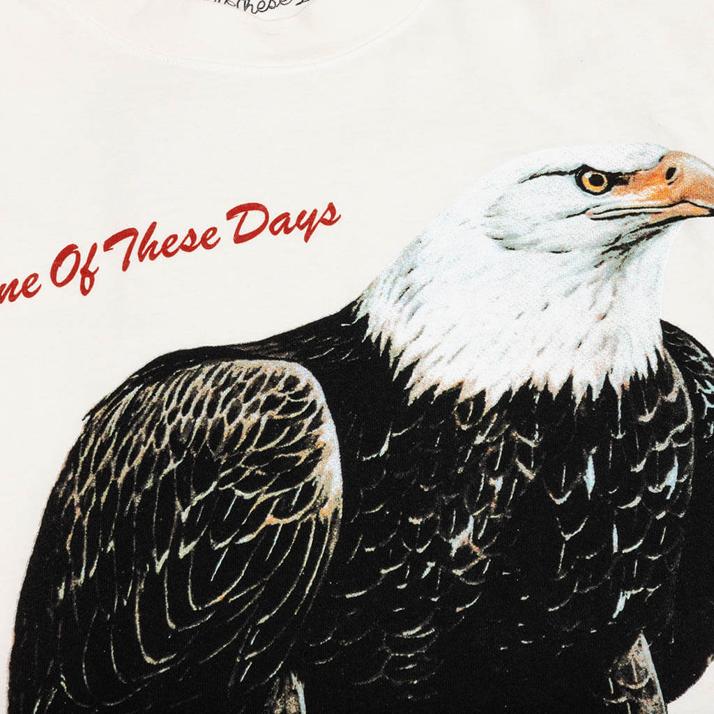 Bird Of Prey Tee - Bone