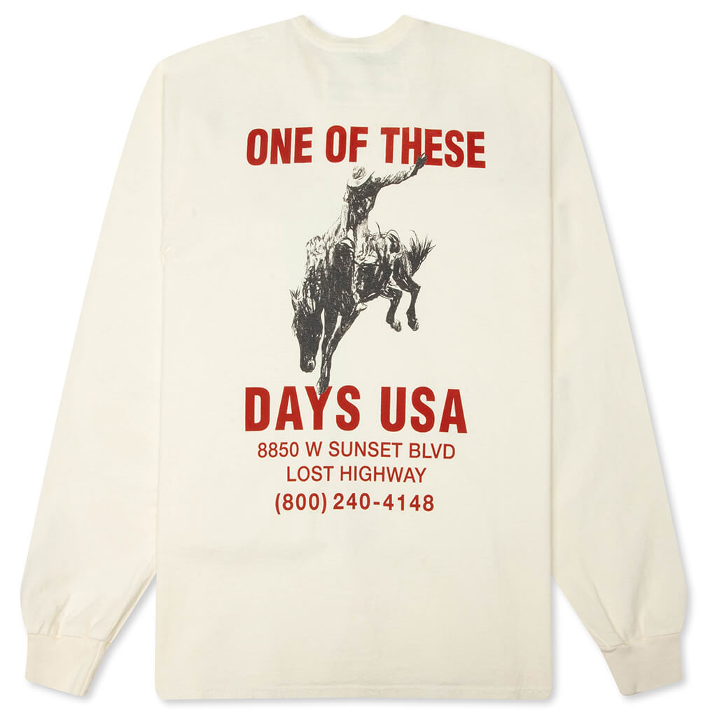 Break On Through Long Sleeve T-Shirt - Bone