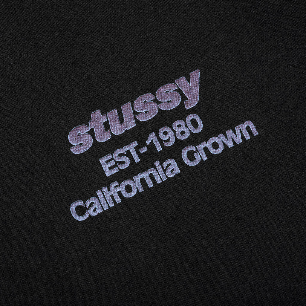 California Grown Pigment Dyed Tee - Black