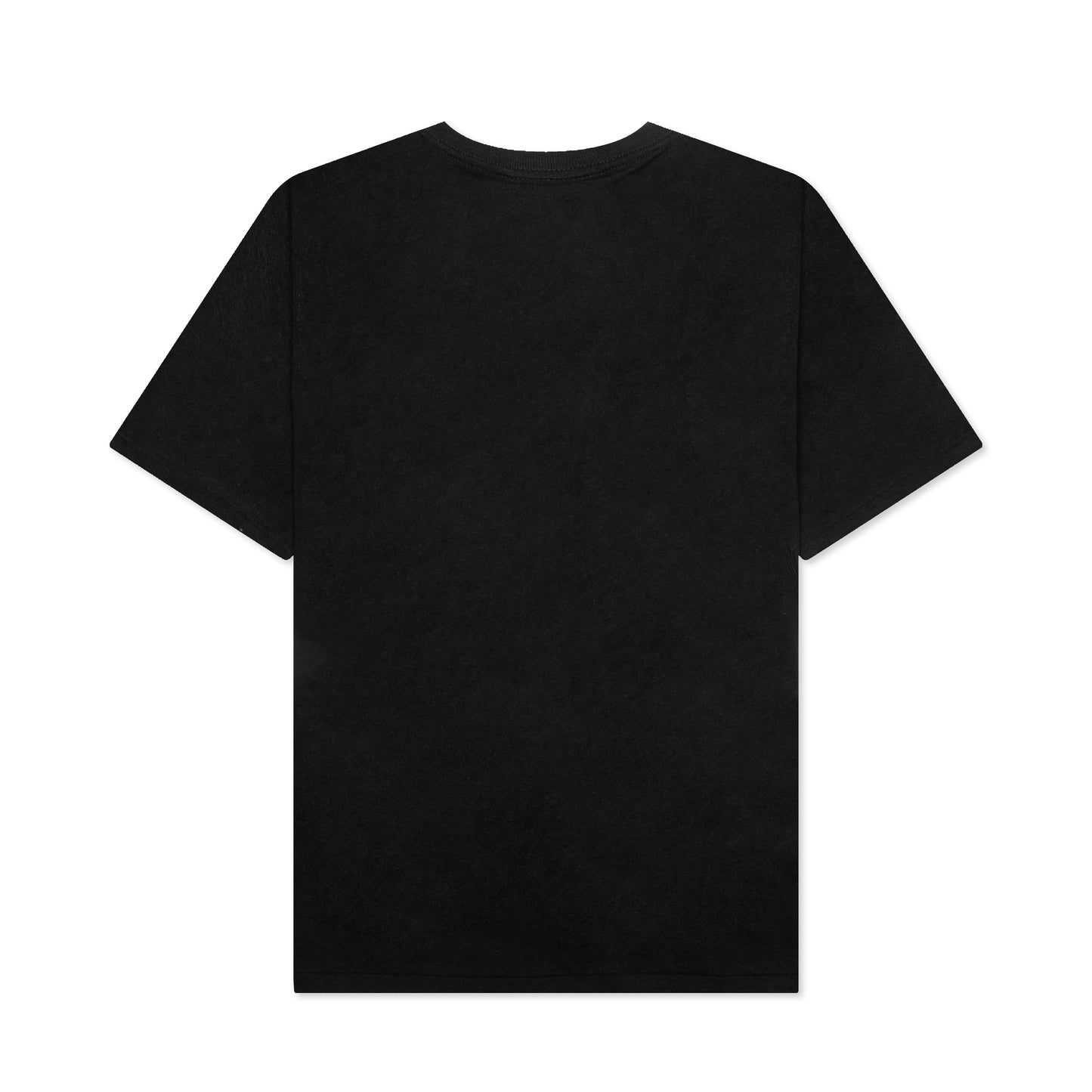 Color Camo Bathing Ape Tee - Black