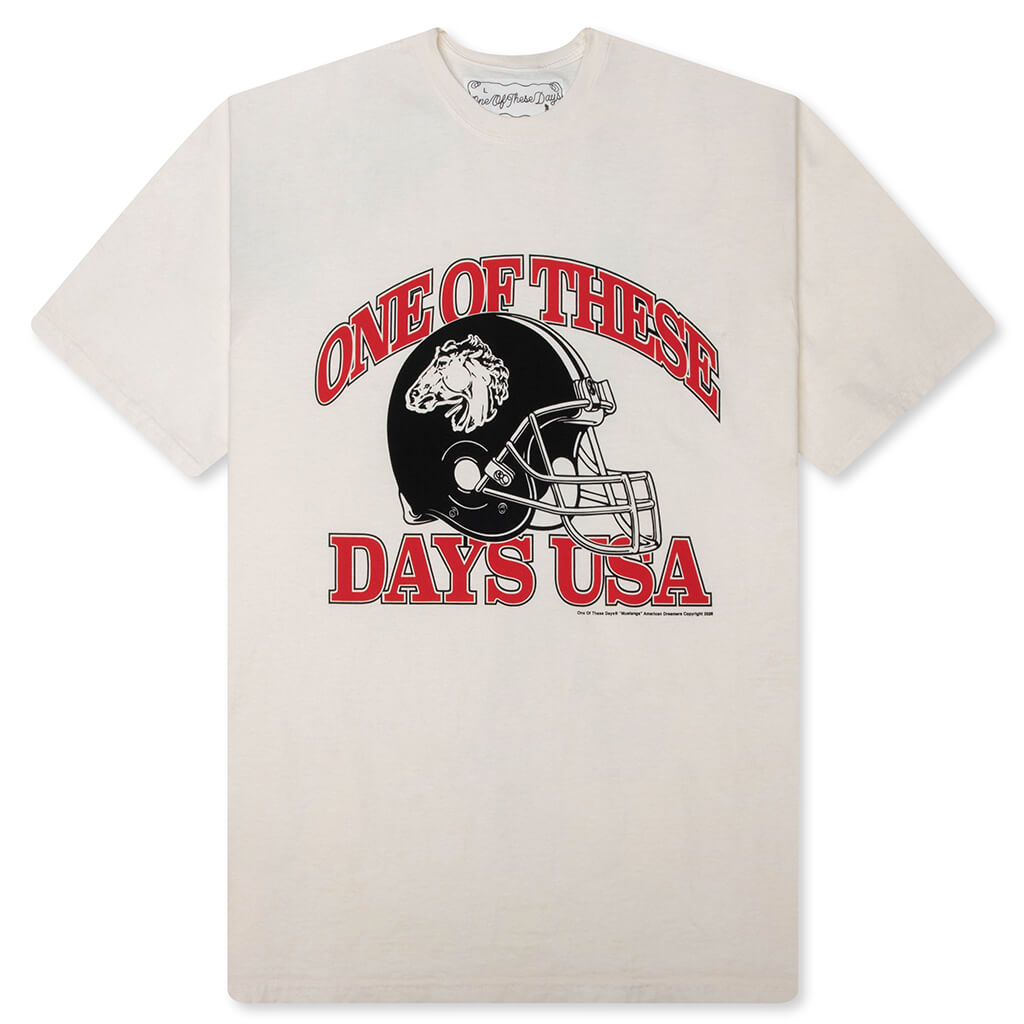 Days USA T-Shirt - Bone