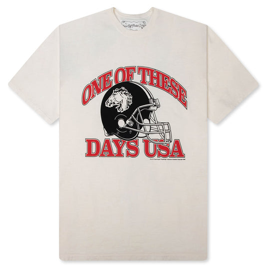 Days USA T-Shirt - Bone