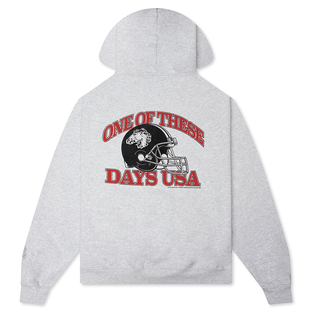 Days USA Zip Up Hoodie - Heather Grey