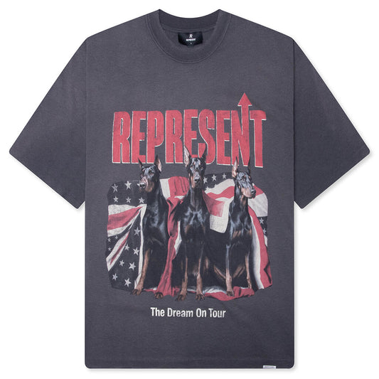 Dream On Tour T-Shirt - Sun Fade Grey