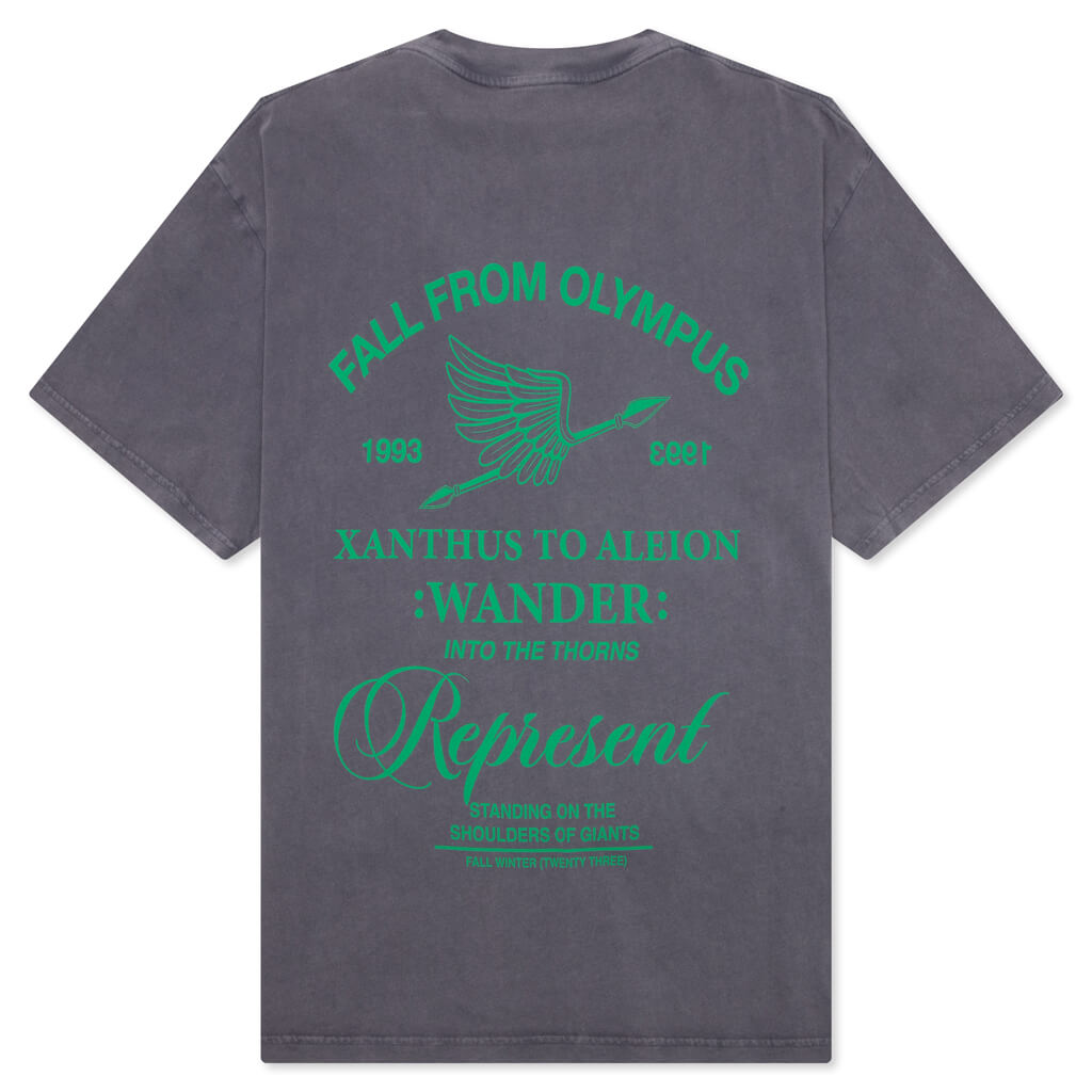 Fall From Olympus T-Shirt - Storm