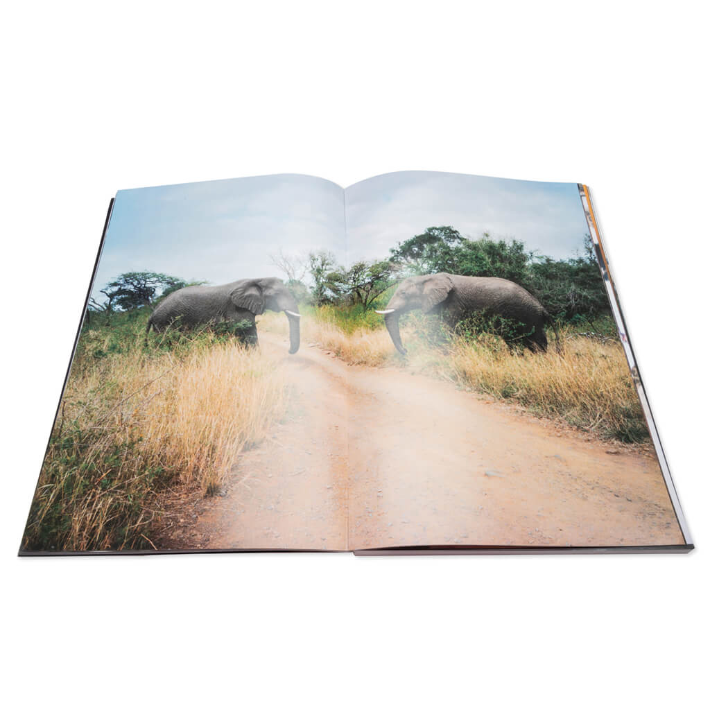 "Prince Street" Photo Book - Multi