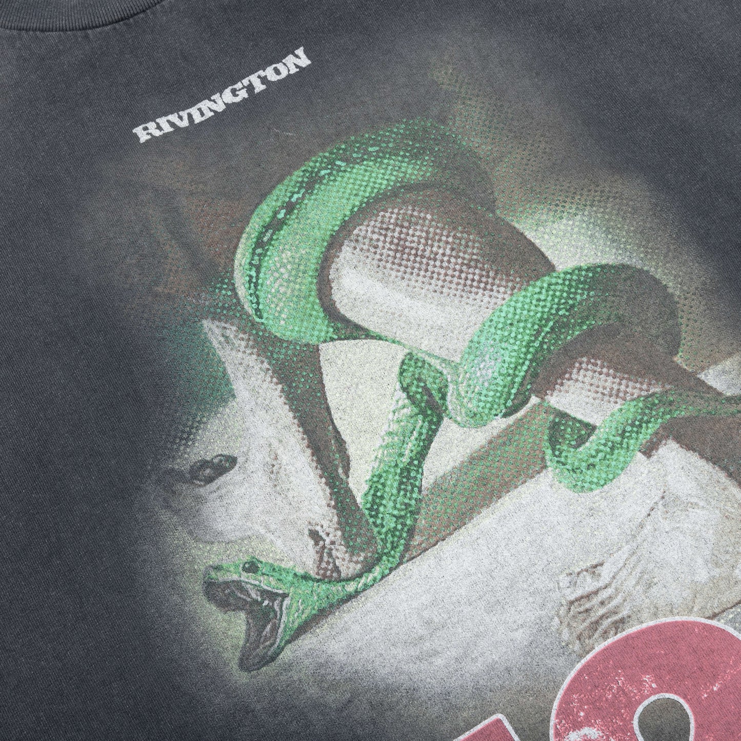 Inri Snake L/S Tee - Vintage Black