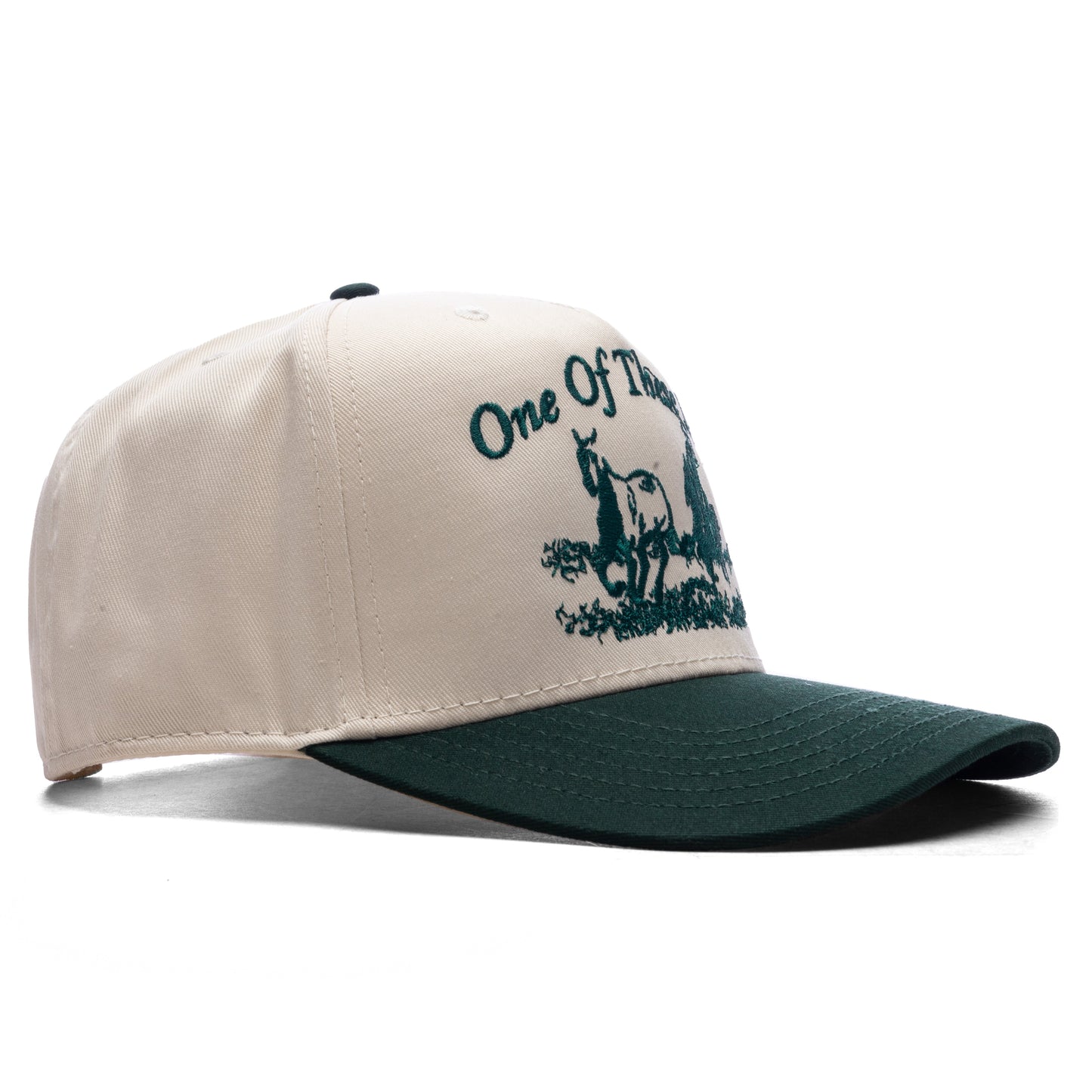Just For A Moment 5-Panel Hat - Natural/Green