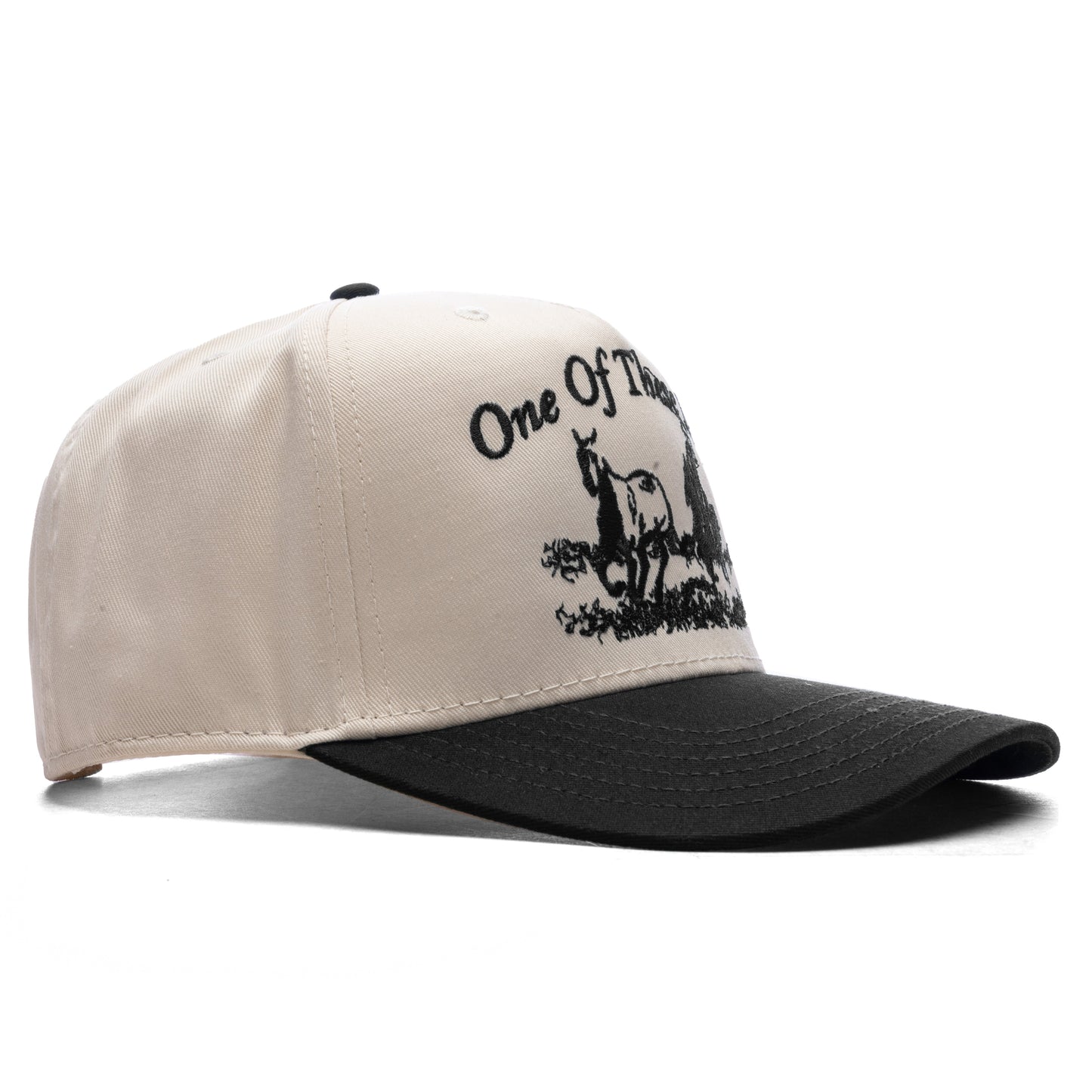 Just For A Moment 5-Panel Hat - Natural/Black