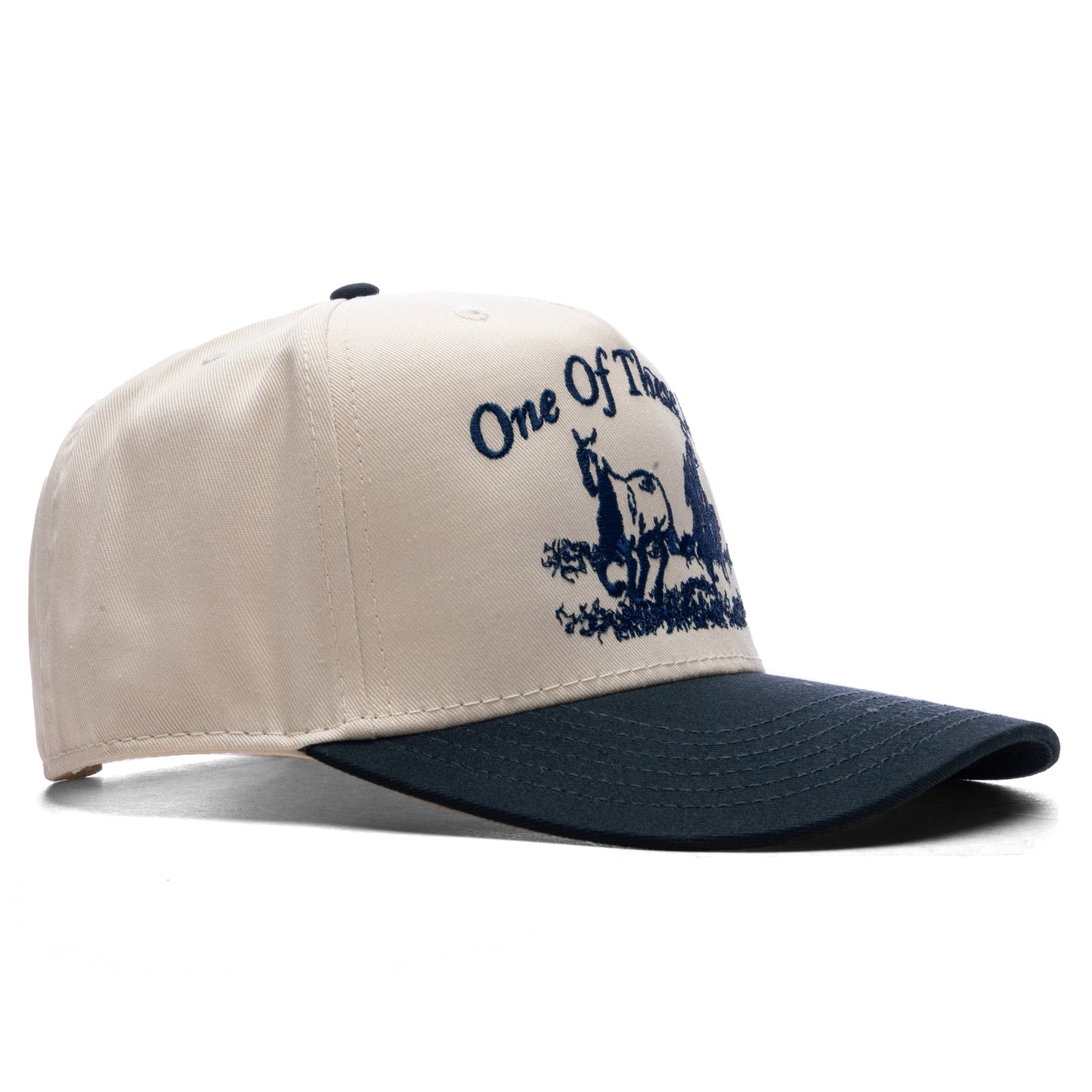 Just For A Moment 5-Panel Hat - Natural/Navy