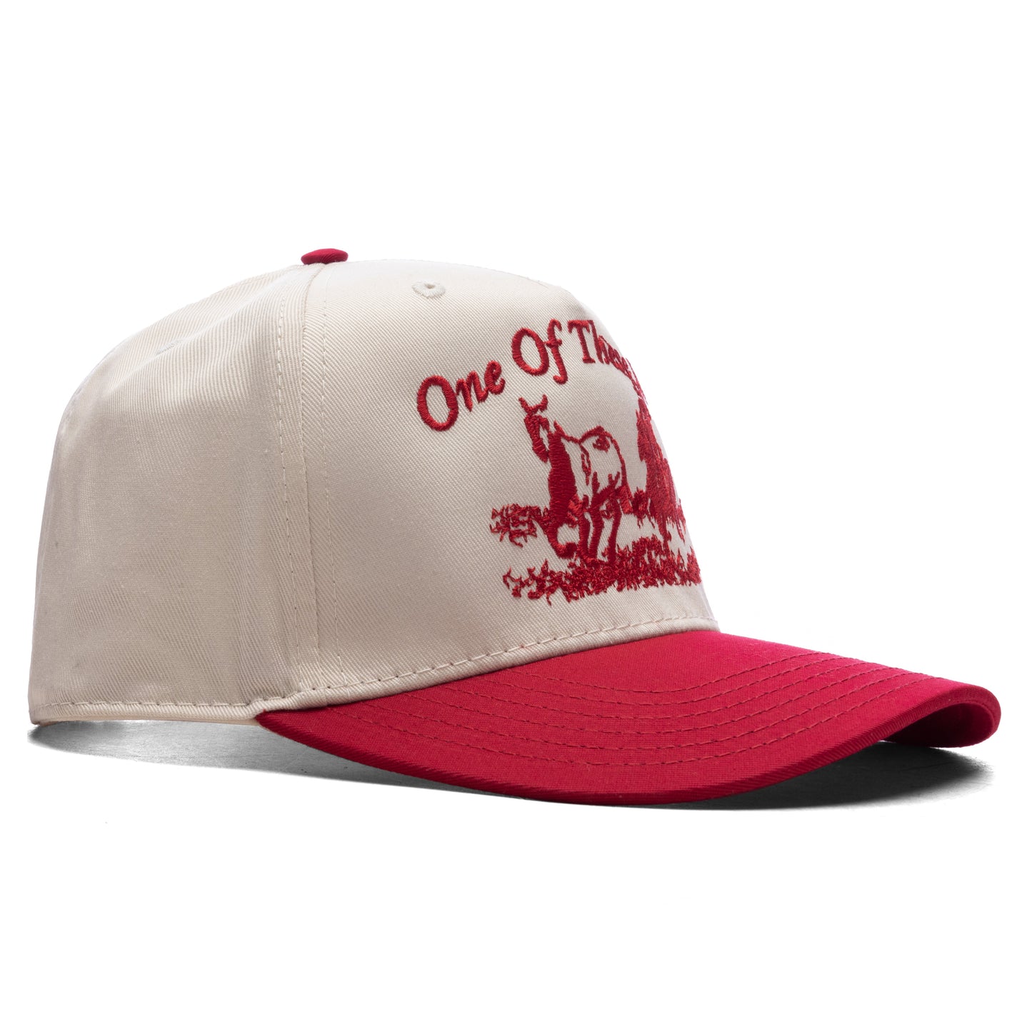 Just For A Moment 5-Panel Hat - Natural/Red