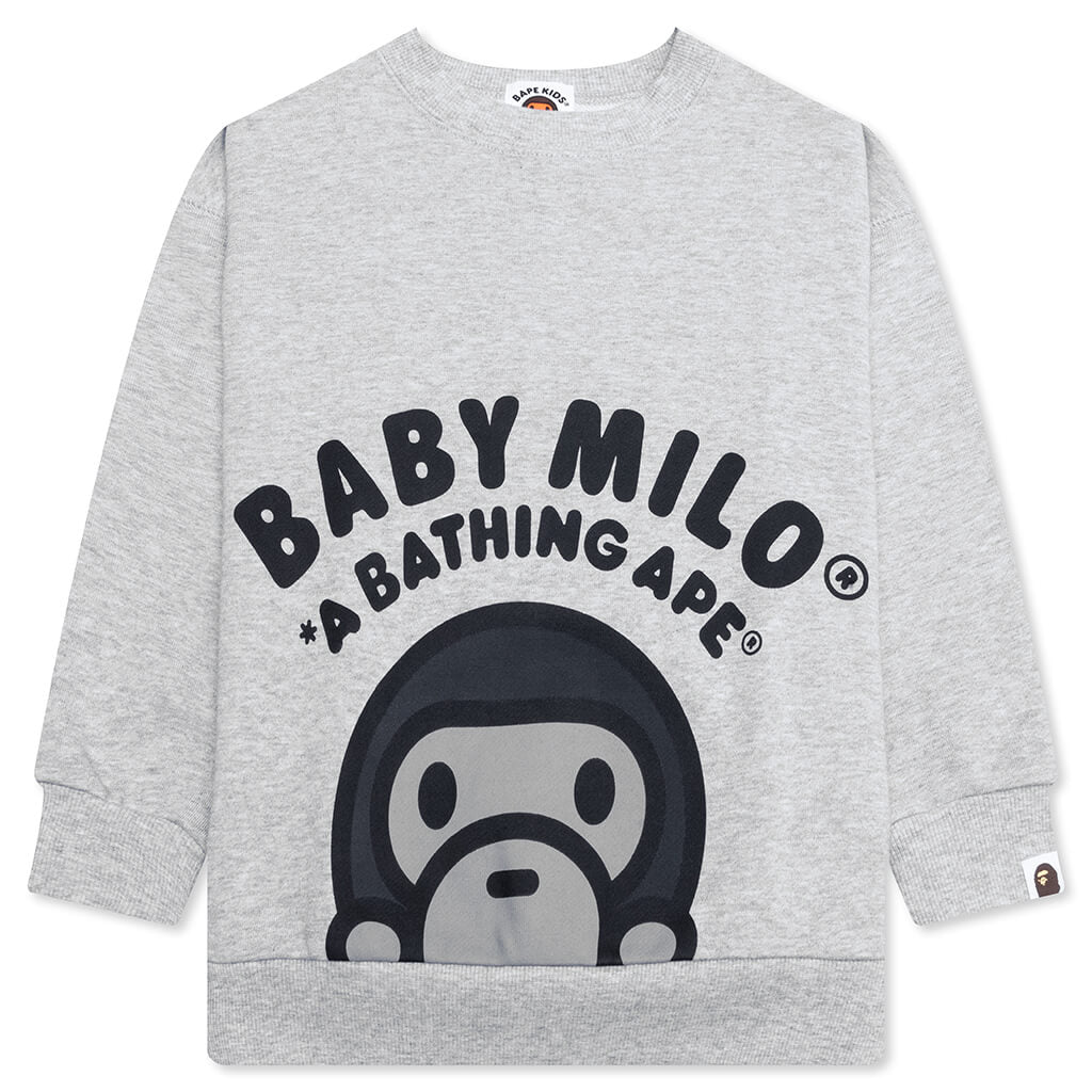 Kid's Baby Milo Relaxed Fit Crewneck Sweatshirt - Gray
