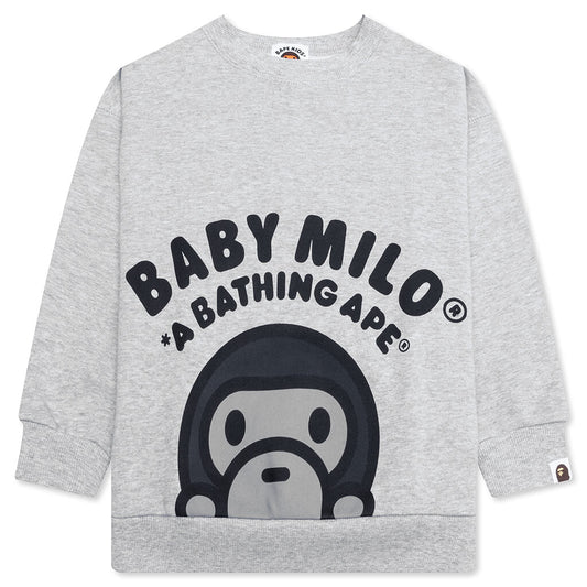 Kid's Baby Milo Relaxed Fit Crewneck Sweatshirt - Gray