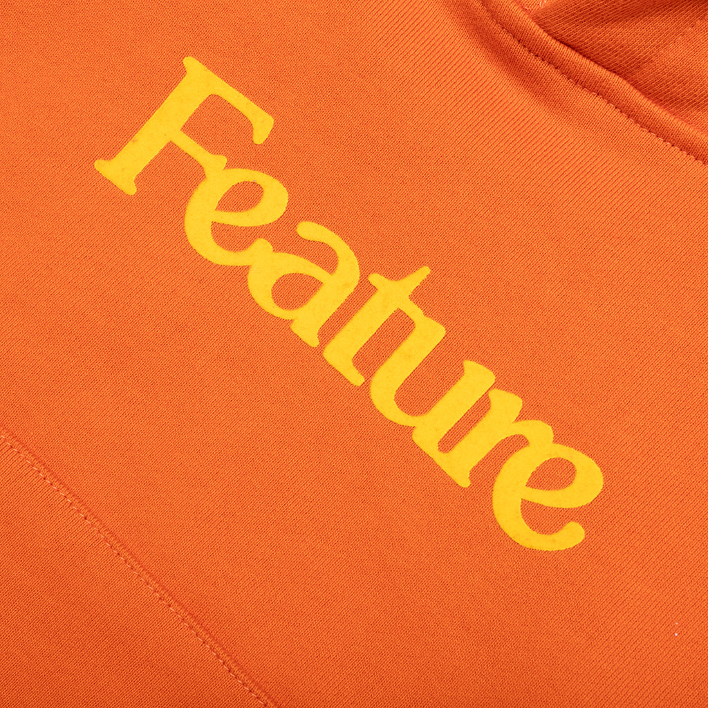 Kids Academy Hoodie - Burnt Orange