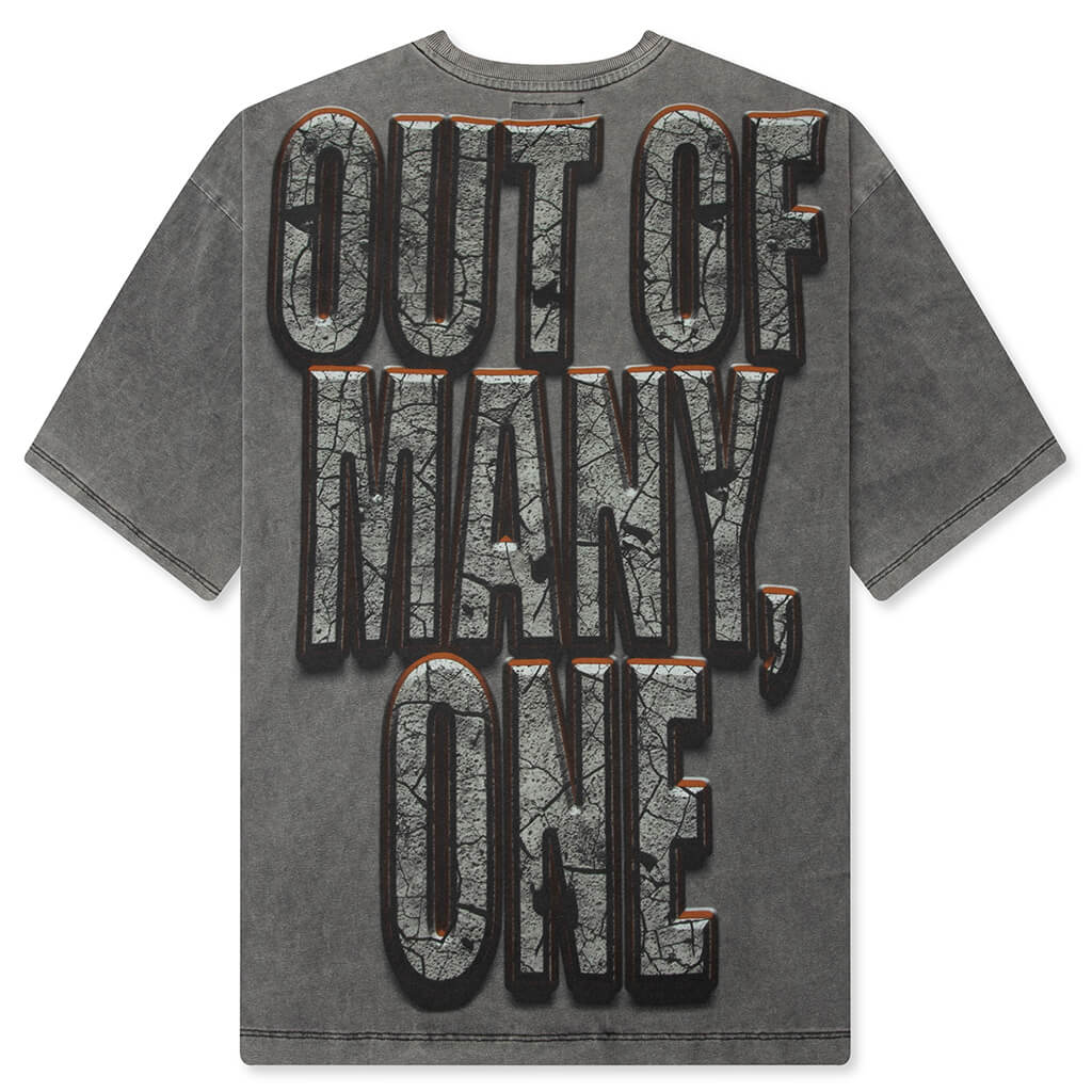 Liberty Ruins T-Shirt - Grey