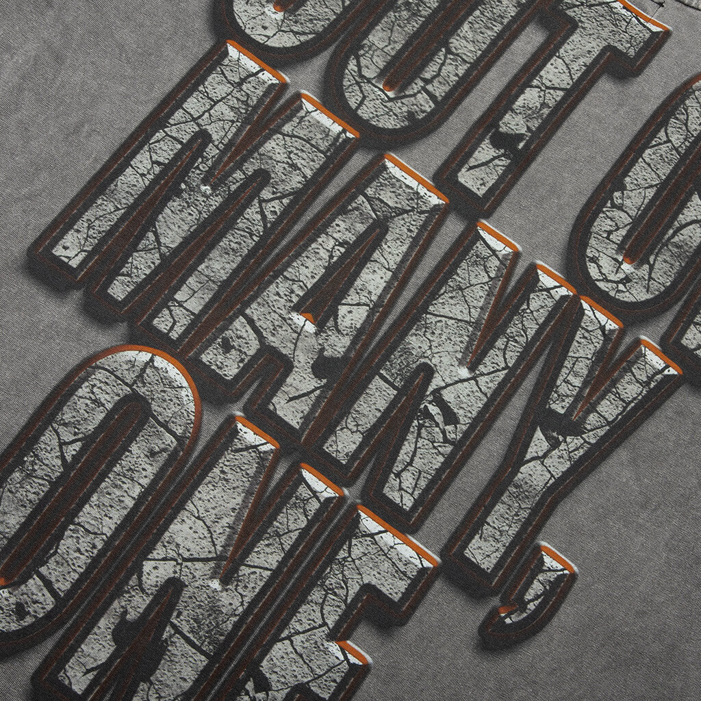 Liberty Ruins T-Shirt - Grey