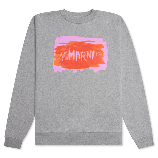 074P1 Sweatshirt - Inox