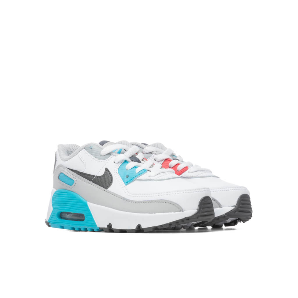 Air Max 90 LTR (TD) - White/Iron Grey