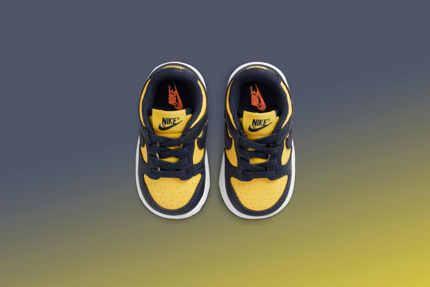 Dunk Low (TD) - Varsity Maize/Midnight Navy