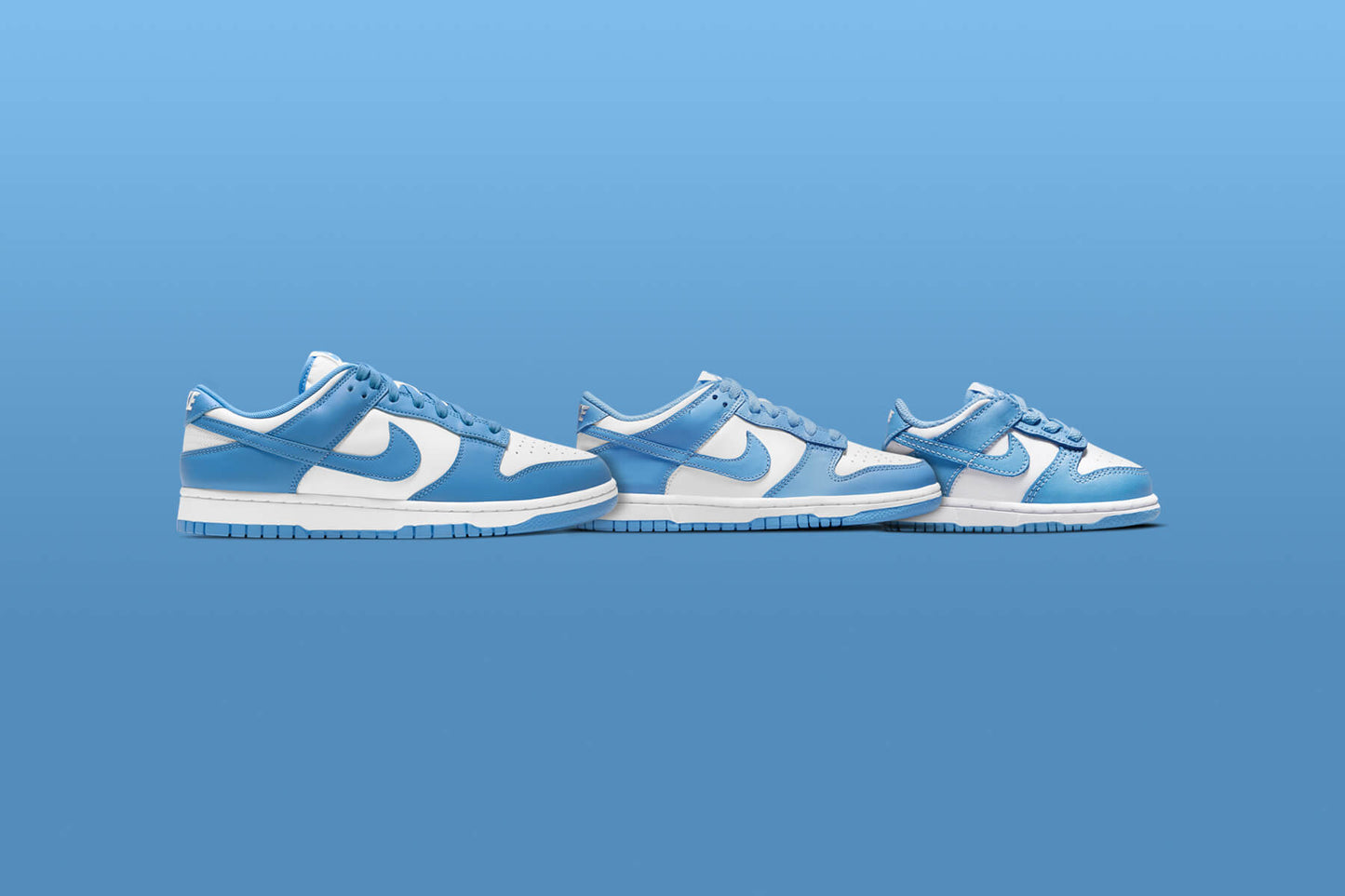 Dunk Low (TD) - White/University Blue