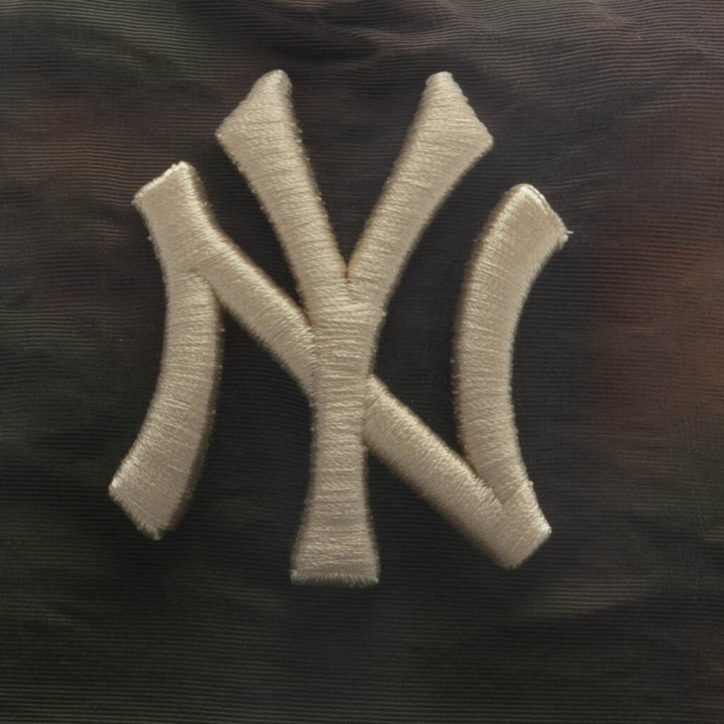 Nylon Wash Dye 19TWENTY Pre-Curved - New York Yankees