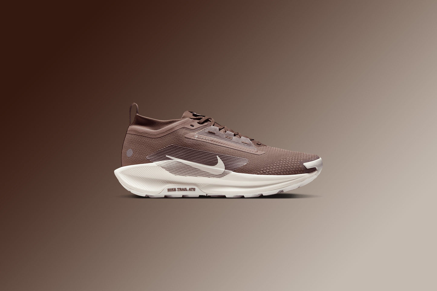 Pegasus Trail 5 GORE-TEX SP - Mink Brown/Baroque Brown/Moon Particle