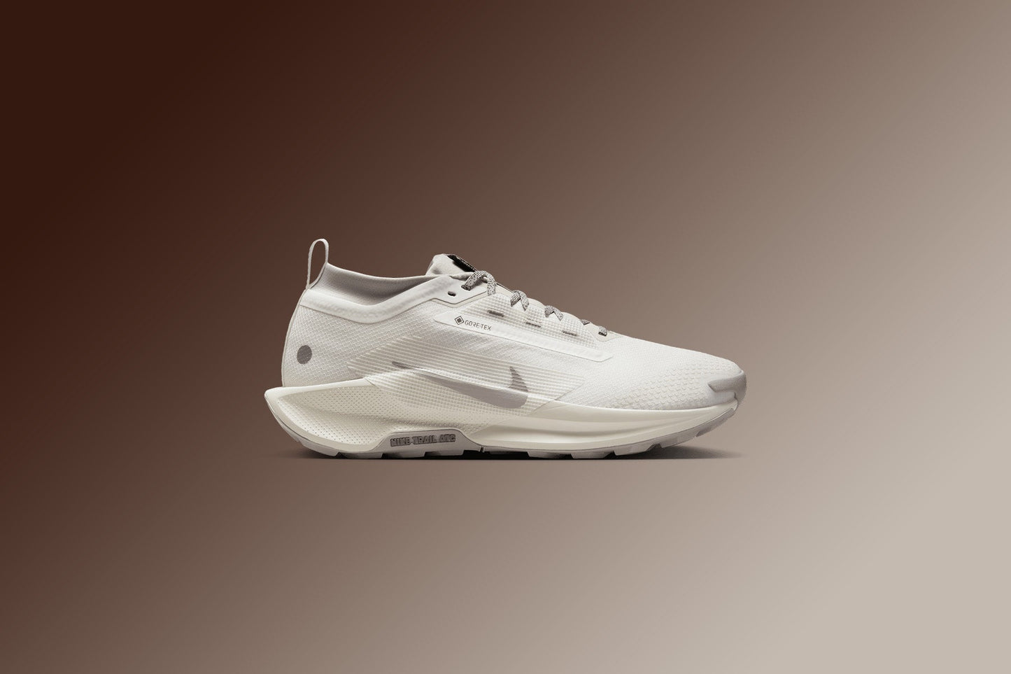 Pegasus Trail 5 GORE-TEX SP - Summit White/College Grey/Light Bone