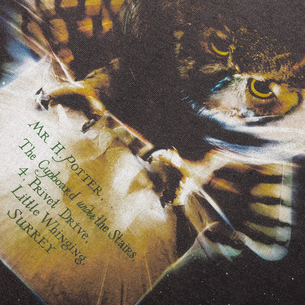 Saint M6 x Harry Potter Philosopher's Stone S/S Tee - Black