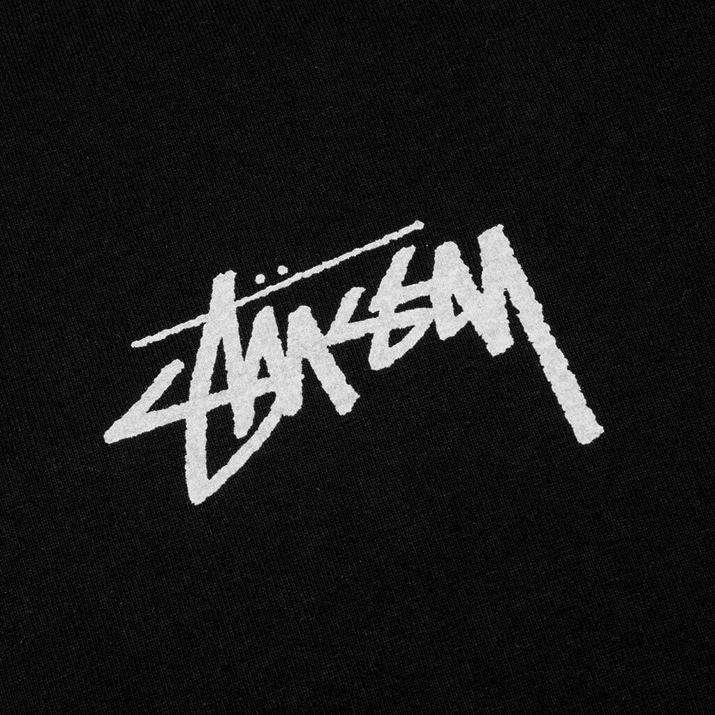 Painter Pigment Dyed Tee - Black