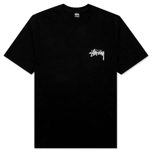 Painter Pigment Dyed Tee - Black