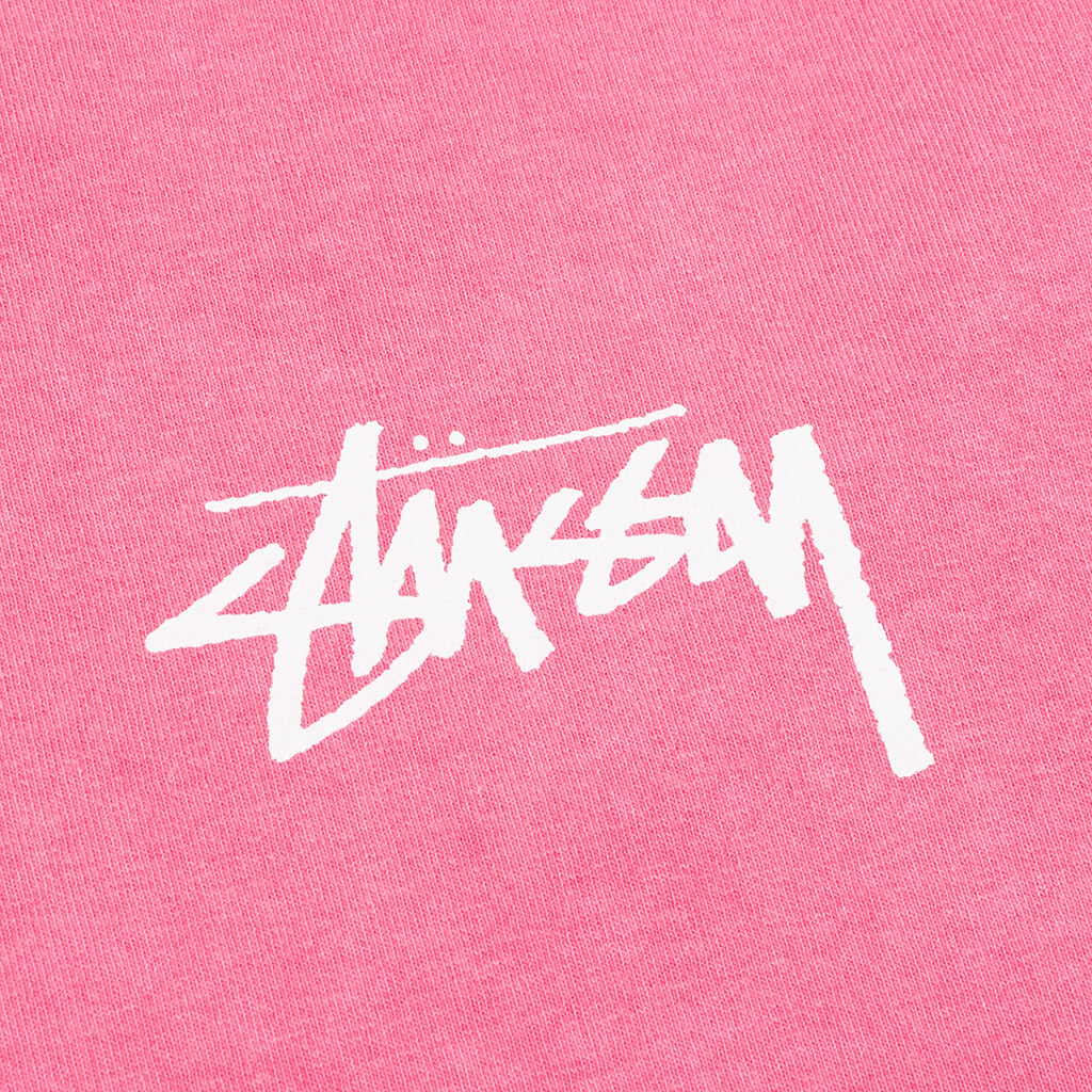 Painter Pigment Dyed Tee - Pink