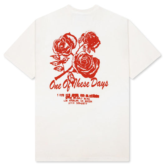Sweet Jane T-Shirt - Bone