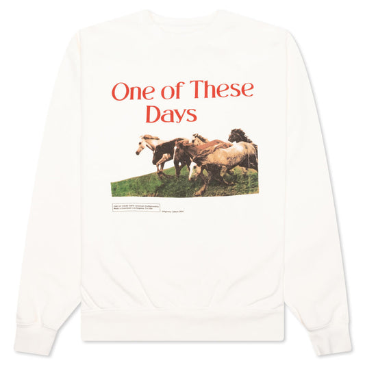Wild Horses Crewneck - Bone