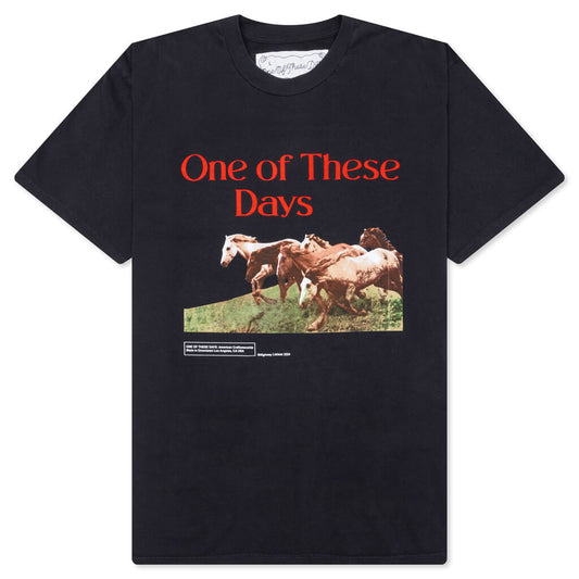 Wild Horses Short Sleeve T-Shirt - Washed Black
