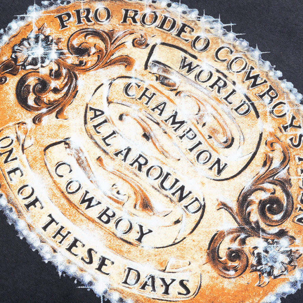 World Champions T-Shirt - Sun Faded Black