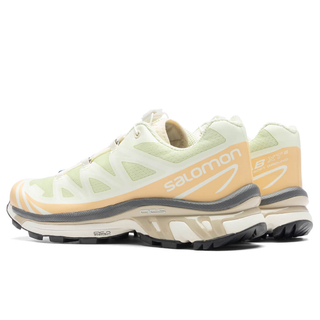 XT-6 - Aloe Wash/Hazelnut/Feather Grey